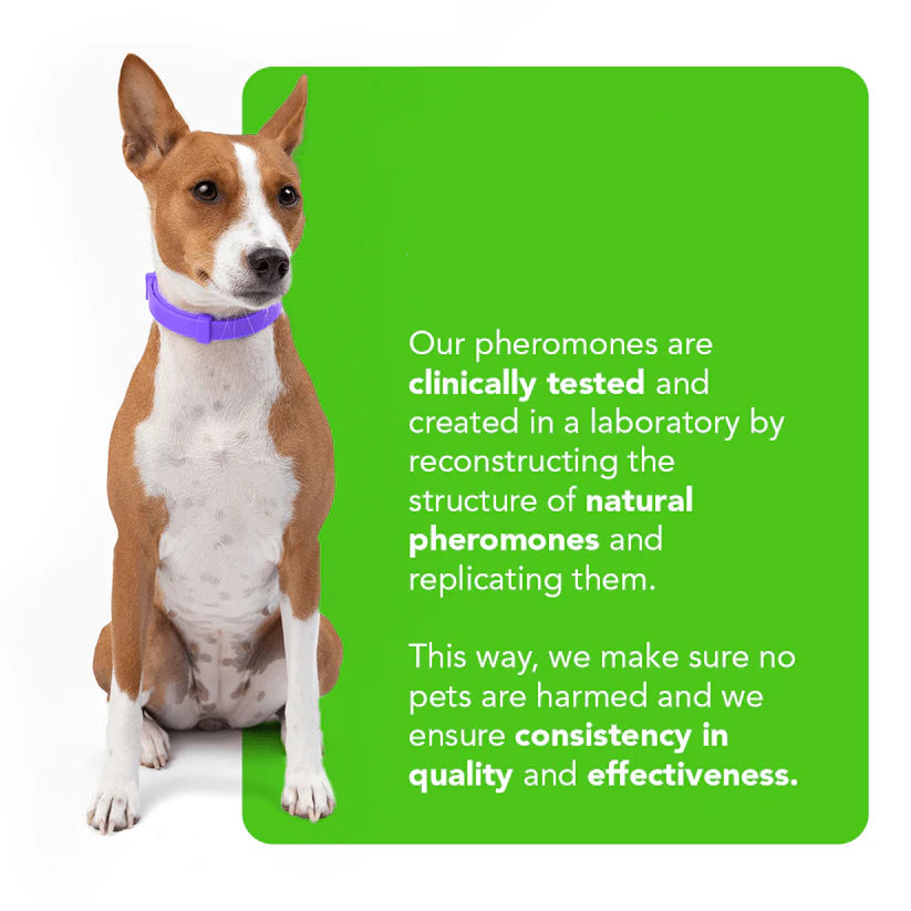 UtoPets™ - Natural Pheromone Calming Collar for dogs and cats