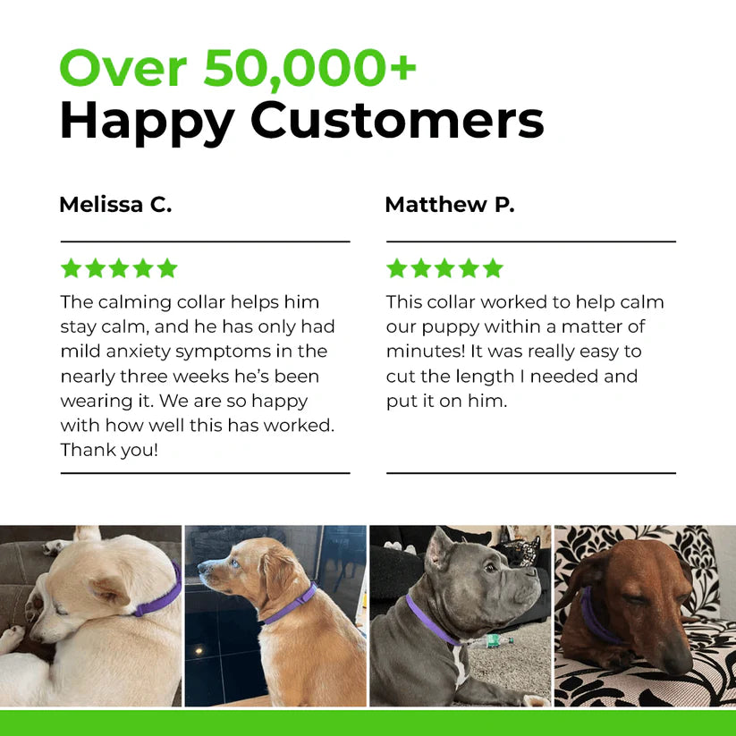 UtoPets™ - Natural Pheromone Calming Collar for dogs and cats