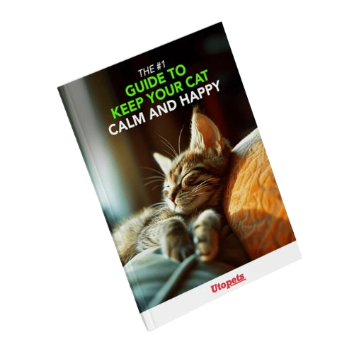 Cat Calm & Happiness E-Book