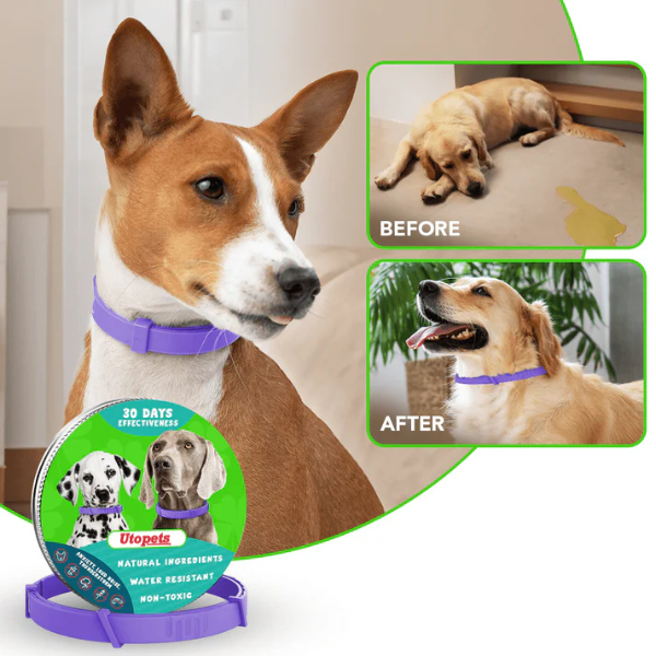 UtoPets™ - Natural Pheromone Calming Collar for dogs and cats