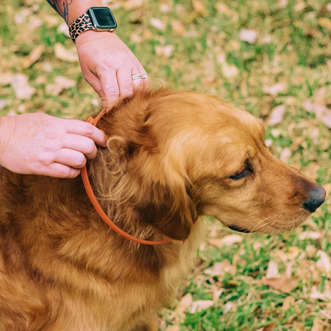 Why Utopian TickStop Is the Best Flea & Tick Collar on the Market!