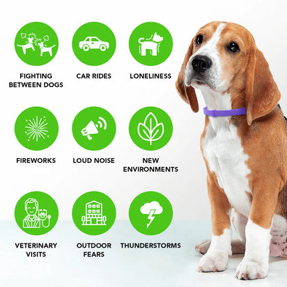 UtoPets™ - Natural Pheromone Calming Collar for dogs and cats