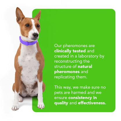 UtoPets™ - Natural Pheromone Calming Collar for dogs and cats
