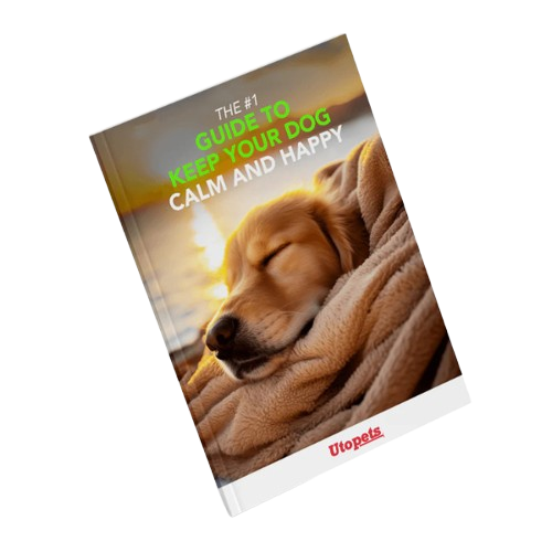 Dog Calm & Happiness E-Book